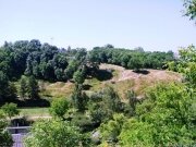 Участок 10 соток